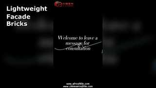 발포 세라믹 중공 벽돌 외관 패널 벽 블록